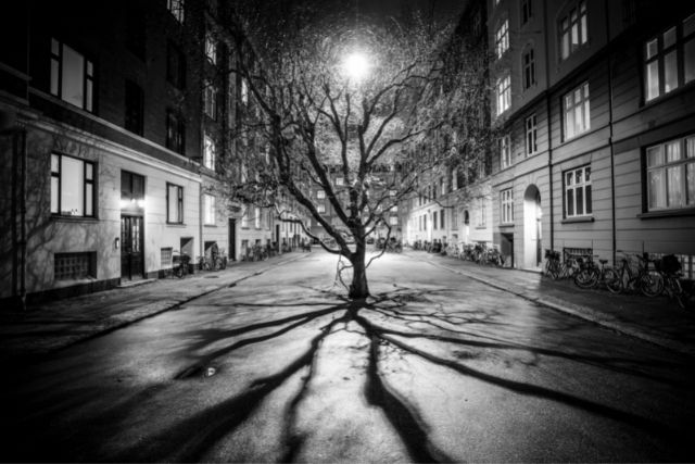 featured_image