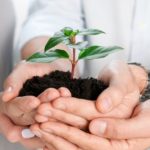 Crescita personale e professionale: il ruolo della psicologia