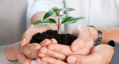 Crescita personale e professionale: il ruolo della psicologia